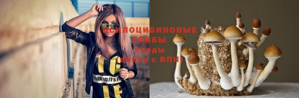 ALPHA-PVP Богородск