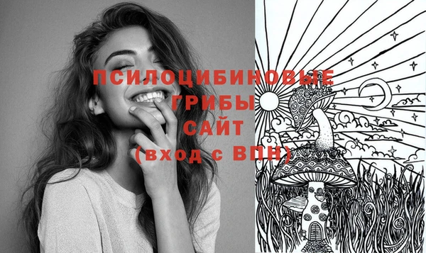 кокс Богородицк